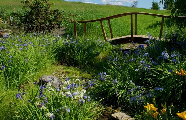 Georgeson Botanical Garden, United States